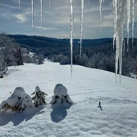 Appartement Lumineux Avec Vue Sur Les Montagnes Morbier Buitenkant foto