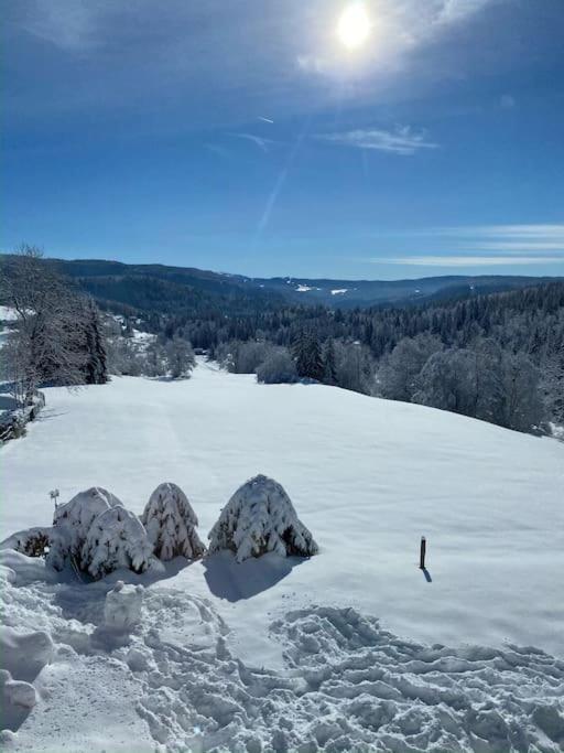 Lumineux Avec Vue Sur Les Montagnes Apartment Morbier