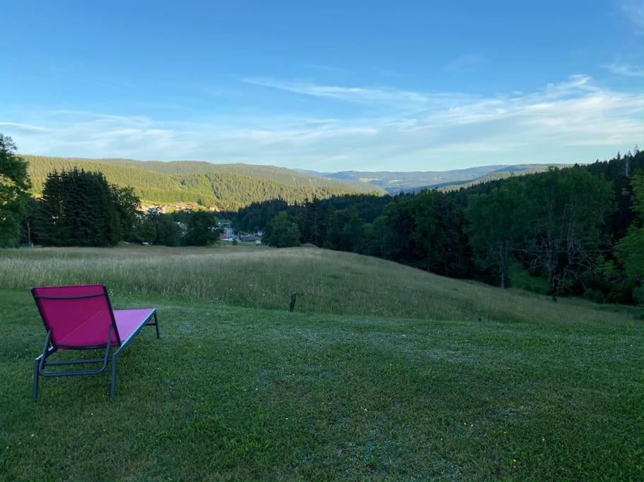 Lumineux Avec Vue Sur Les Montagnes Morbier