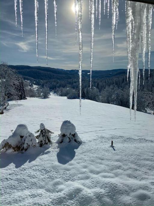 Lumineux Avec Vue Sur Les Montagnes * Morbier